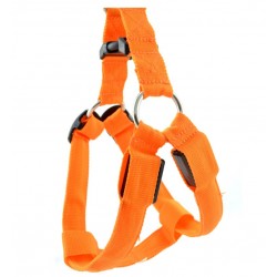 Dog harness - LED - flashing / glowing lights - night safetyCollars & Leads