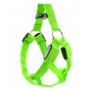 Dog harness - LED - flashing / glowing lights - night safetyCollars & Leads
