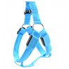 Dog harness - LED - flashing / glowing lights - night safetyCollars & Leads
