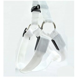 Dog harness - LED - flashing / glowing lights - night safetyCollars & Leads