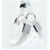 Dog harness - LED - flashing / glowing lights - night safetyCollars & Leads