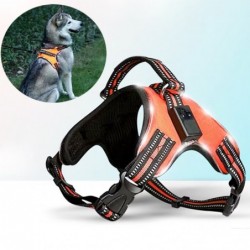 Dog harness - LED - flashing / reflective lights - safety night walk - waterproofCollars & Leads