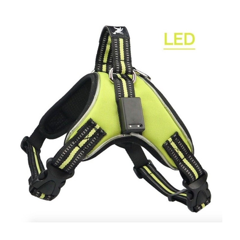 Dog harness - LED - flashing / reflective lights - safety night walk - waterproofCollars & Leads