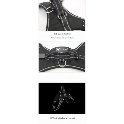 Dog harness - LED - flashing / reflective lights - safety night walk - waterproofCollars & Leads