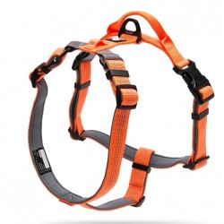 Dog harness - reflective nylon - adjustableCollars & Leads