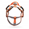Dog harness - reflective nylon - adjustableCollars & Leads