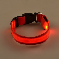 LED dog collar - luminous / flashing - safety night walkCollars & Leads