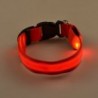 LED dog collar - luminous / flashing - safety night walkCollars & Leads