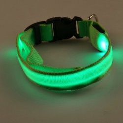 LED dog collar - luminous / flashing - safety night walkCollars & Leads