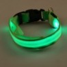LED dog collar - luminous / flashing - safety night walkCollars & Leads