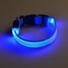 LED dog collar - luminous / flashing - safety night walkCollars & Leads