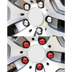 Car rim cover - protective nuts - with clip - 17mm - 20 piecesWheel parts