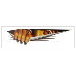 Car sticker - 3D peeking eyesStickers