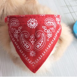 Adjustable collar with scarf - for dogs / cats / petsAnimals & Pets