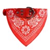 Adjustable collar with scarf - for dogs / cats / petsAnimals & Pets