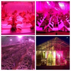 LED plant grow light - bulb - hydroponic - full spectrum - E27 / E14 / GU10 / MR16 / B22 - 220V - 3W / 4W / 5WGrow Lights