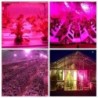 LED plant grow light - bulb - hydroponic - full spectrum - E27 / E14 / GU10 / MR16 / B22 - 220V - 3W / 4W / 5WGrow Lights
