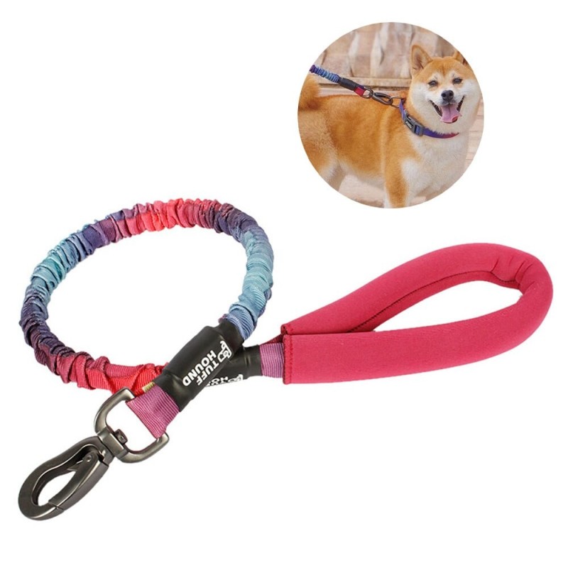 Dog leash - collar - with traction rope / buckleCollars & Leads
