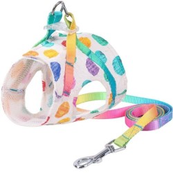 Dog harness with leash / buckle - rainbow dotsCollars & Leads