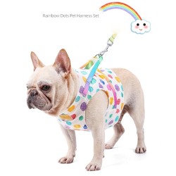 Dog harness with leash / buckle - rainbow dotsCollars & Leads