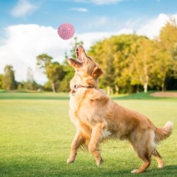 Dogs / cats training toys - with rope - chewable / teeth cleaning - 6 piecesToys