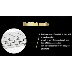 Luxurious stainless steel belt - punk style - buckle with pantherBelts