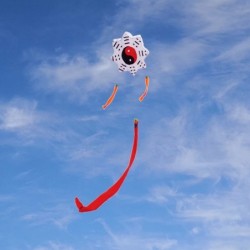 Tai Chi Gossip - traditional kite - long tailKites