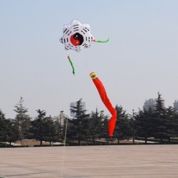 Tai Chi Gossip - traditional kite - long tailKites