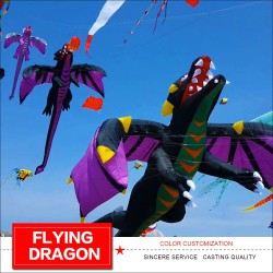 3D flying dragon - kite - 6.5mKites