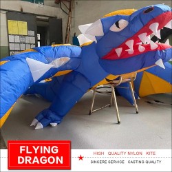 3D flying dragon - kite - 6.5mKites