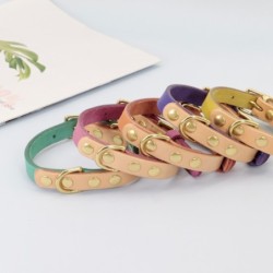 Leather collar - for dogs / cats - personalized pet name - phone number - ID tagCollar & Leads