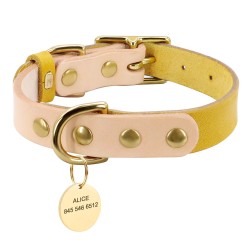 Leather collar - for dogs / cats - personalized pet name - phone number - ID tagCollar & Leads