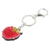 Metal keychain with acrylic raspberryKeyrings