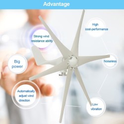 Wind turbine generator - 6 blades - three-phase - 9000W - 48VWind