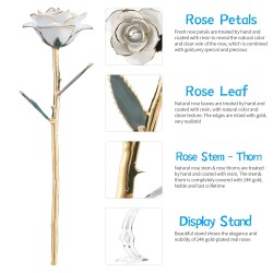 Rose dipped in 24k gold - with stand - birthday / Valentine's day / wedding giftArtificial flowers