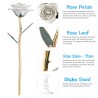 Rose dipped in 24k gold - with stand - birthday / Valentine's day / wedding giftArtificial flowers