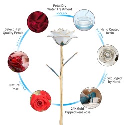 Rose dipped in 24k gold - with stand - birthday / Valentine's day / wedding giftArtificial flowers