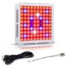 Plant grow lamp - LED hydroponic panel - 300W / 600WGrow Lights