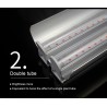Plant grow LED phyto lamp - hanging double tube - full spectrum - hydroponic - 50cmGrow Lights