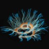 Flexible silicone coral / anemone - glowing in dark - aquarium decorationAquarium