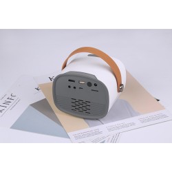 AAO YG230 - mini projector - 1080P - WiFi - multi screen - with speakerProjectors