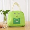 Insulated picnic / lunch bag - waterproof - thickened aluminum foil - cartoon printBags