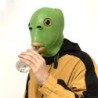 Funny full face mask - green fish head - Halloween - festivalsMasks