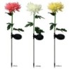 Chrysanthemum flower shaped lamp - garden light - solar - LED - waterproofSolar lighting