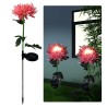Chrysanthemum flower shaped lamp - garden light - solar - LED - waterproofSolar lighting