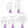 LED Edison bulb - milky glass - 5W - AC110V 220V - G80 - G95 - G125 - A60 - ST64Bulbs