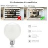 LED Edison bulb - milky glass - 5W - AC110V 220V - G80 - G95 - G125 - A60 - ST64Bulbs