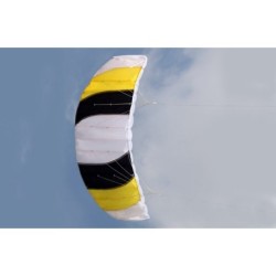 Colorful sports beach kite - 1.4m dual lineKites