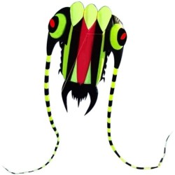 Large colorful kite - green trilobiteKites