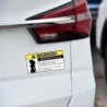 Funny car sticker - "Sexy Girl Warning Serious Injury Can Occur"Stickers